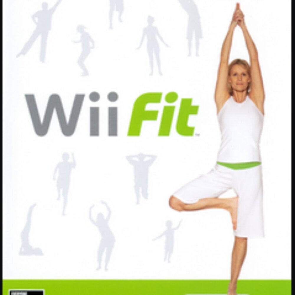 Wii Fit [GAME DISC ONLY]
